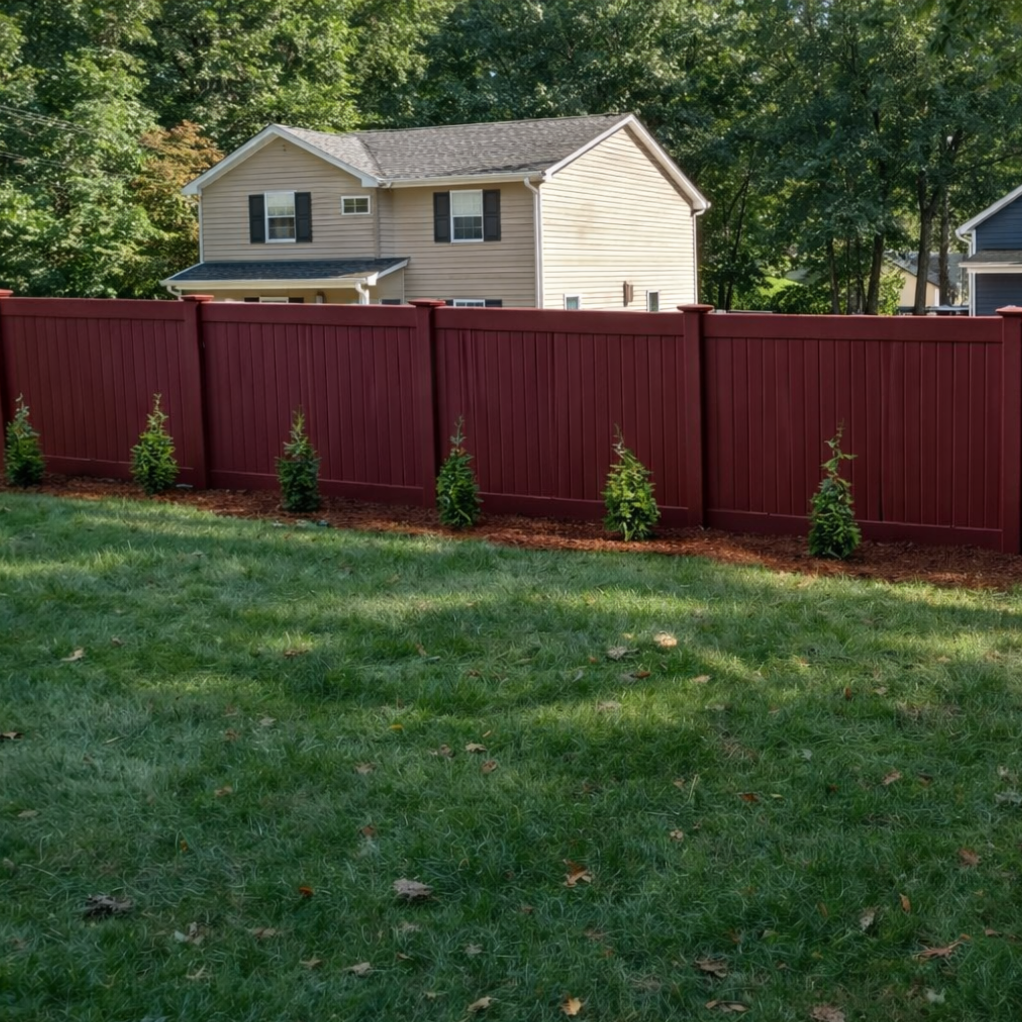 Green Giant Arborvitae
